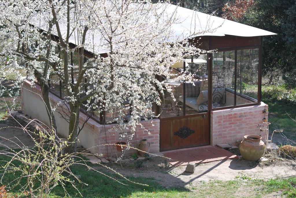 Sous Les Canniers Saumane-de-Vaucluse Exterior foto