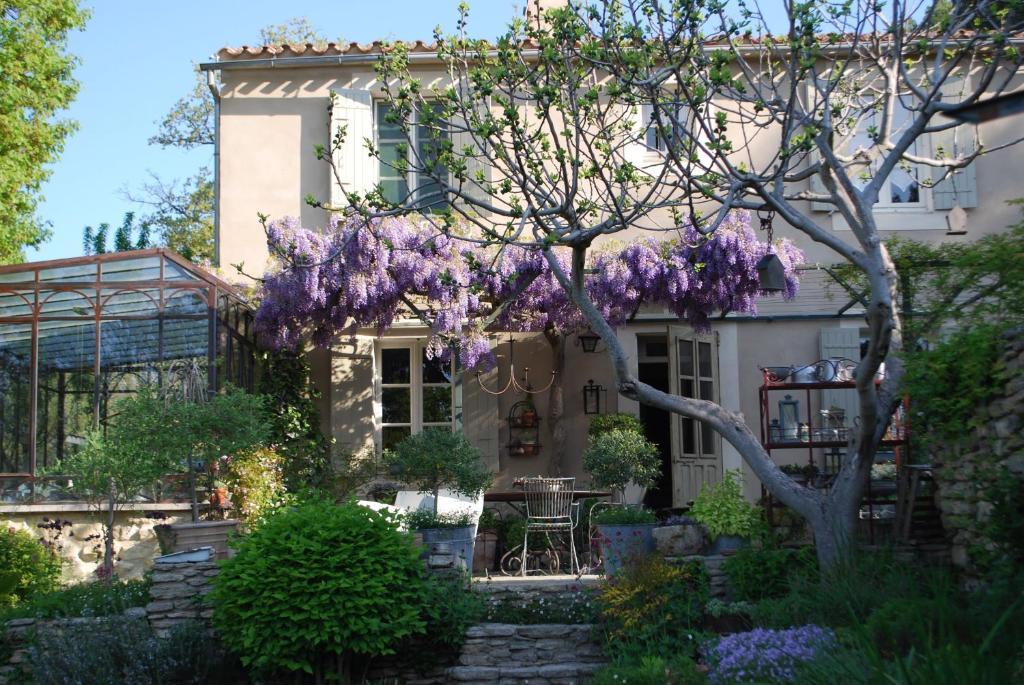Sous Les Canniers Saumane-de-Vaucluse Exterior foto
